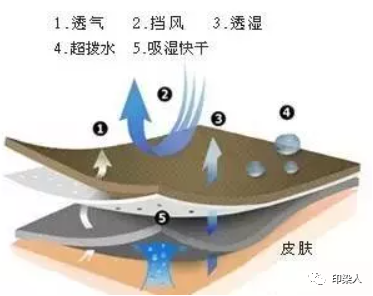 定型機(jī),涂層機(jī),地毯機(jī),地毯背膠機(jī),靜電植絨機(jī)