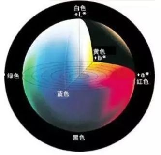 涂層機(jī),定型機(jī),地毯機(jī),地毯背膠機(jī),靜電植絨機(jī)