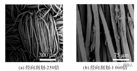 定型機(jī),涂層機(jī),地毯機(jī),地毯背膠機(jī),靜電植絨機(jī)