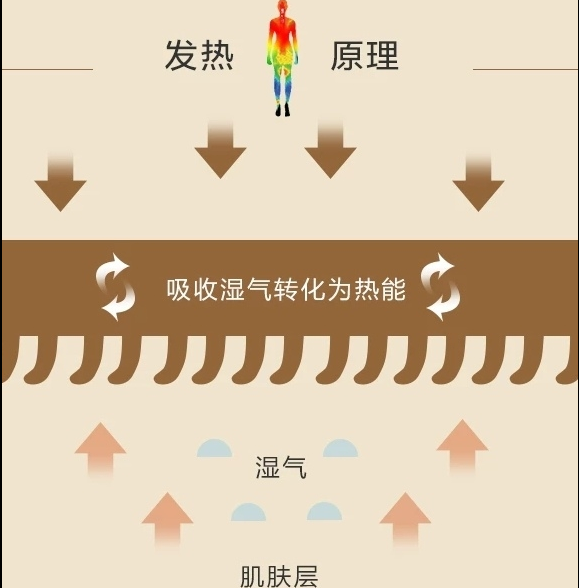 定型機,涂層機,地毯機,地毯背膠機,靜電植絨機