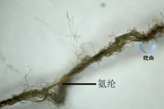 定型機(jī),涂層機(jī),地毯機(jī),地毯背膠機(jī),靜電植絨機(jī)