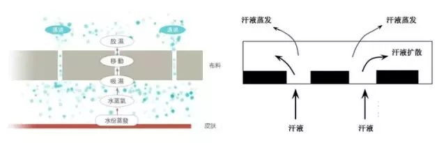 定型機,涂層機,地毯機,地毯背膠機,靜電植絨機