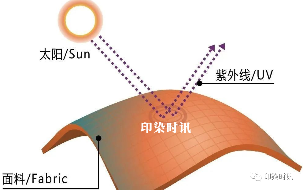 定型機(jī),涂層機(jī),地毯機(jī),地毯背膠機(jī),靜電植絨機(jī)